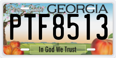 GA license plate PTF8513