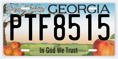 GA license plate PTF8515