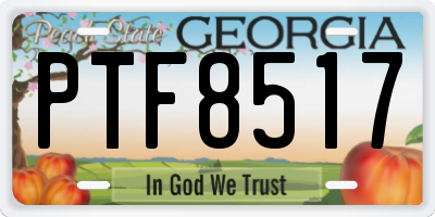 GA license plate PTF8517
