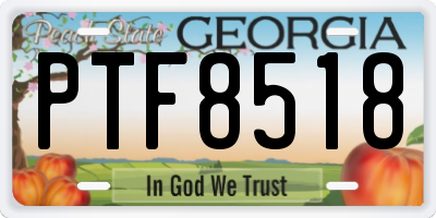 GA license plate PTF8518