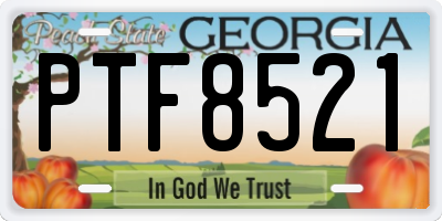 GA license plate PTF8521