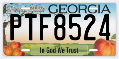 GA license plate PTF8524