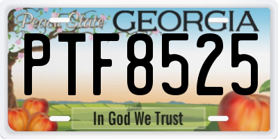 GA license plate PTF8525