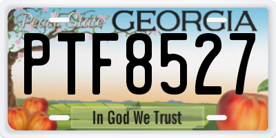 GA license plate PTF8527
