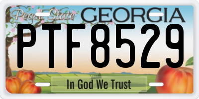 GA license plate PTF8529