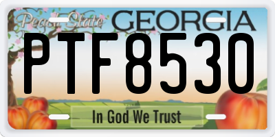 GA license plate PTF8530