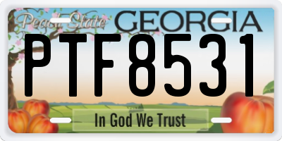 GA license plate PTF8531