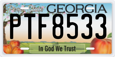 GA license plate PTF8533