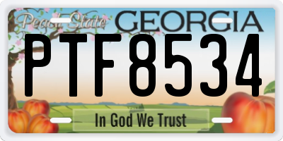 GA license plate PTF8534