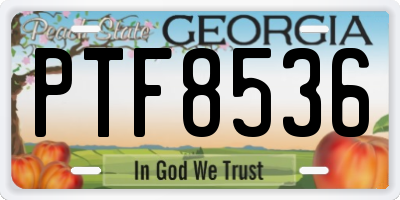 GA license plate PTF8536