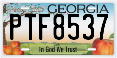 GA license plate PTF8537