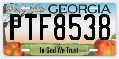 GA license plate PTF8538