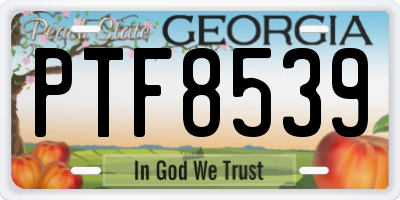 GA license plate PTF8539