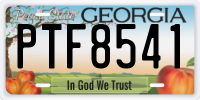 GA license plate PTF8541