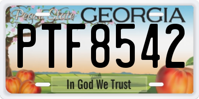 GA license plate PTF8542