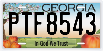 GA license plate PTF8543