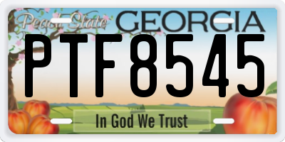 GA license plate PTF8545