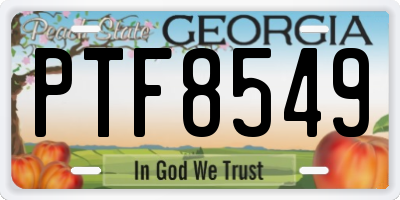 GA license plate PTF8549