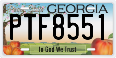 GA license plate PTF8551