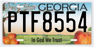 GA license plate PTF8554