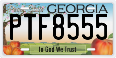 GA license plate PTF8555