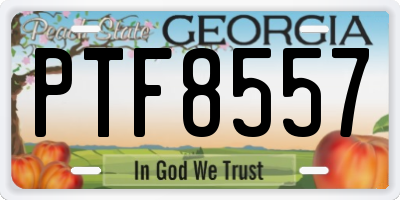 GA license plate PTF8557