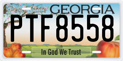 GA license plate PTF8558