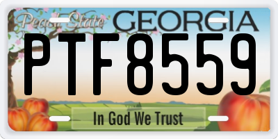 GA license plate PTF8559