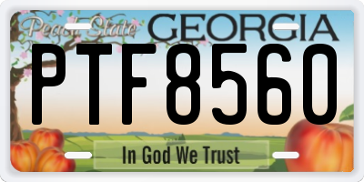 GA license plate PTF8560
