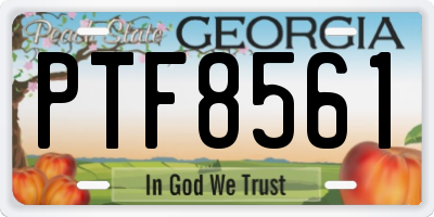GA license plate PTF8561