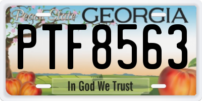 GA license plate PTF8563