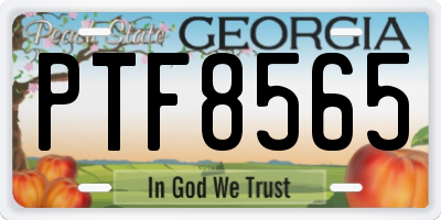 GA license plate PTF8565