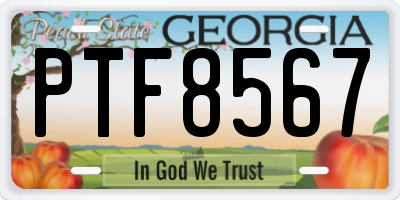 GA license plate PTF8567