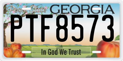GA license plate PTF8573