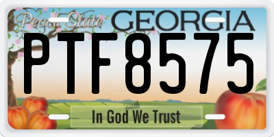 GA license plate PTF8575