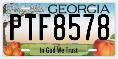 GA license plate PTF8578