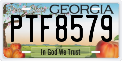 GA license plate PTF8579