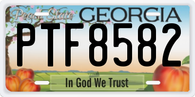 GA license plate PTF8582
