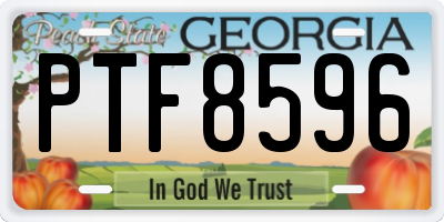GA license plate PTF8596
