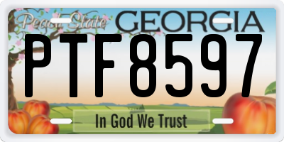 GA license plate PTF8597