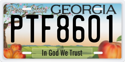 GA license plate PTF8601