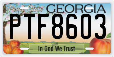 GA license plate PTF8603