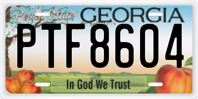 GA license plate PTF8604