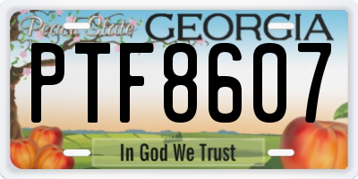 GA license plate PTF8607