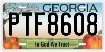 GA license plate PTF8608