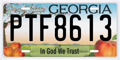 GA license plate PTF8613