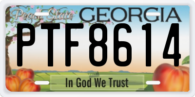 GA license plate PTF8614