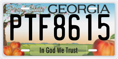 GA license plate PTF8615
