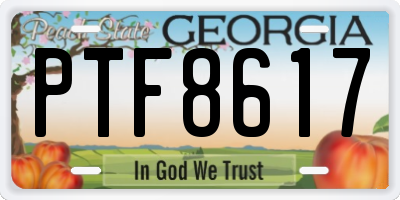GA license plate PTF8617