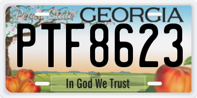 GA license plate PTF8623
